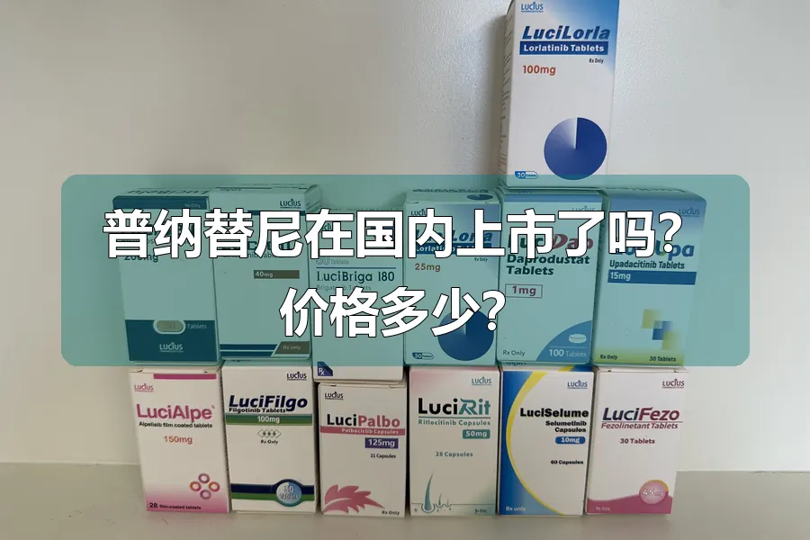 普纳替尼在国内上市了吗？价格多少？